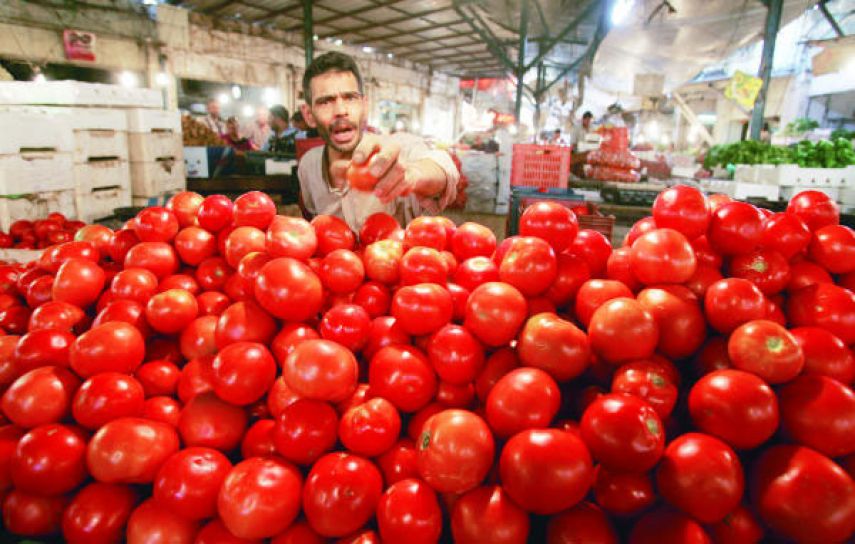 الزراعة توضح أسباب غلاء "البندورة" في غزة