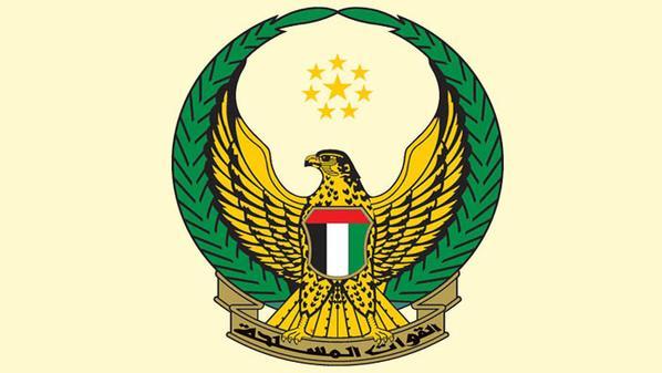 حصيلة صادمة .. بيان رسمي : وفاة 45 جنديا إماراتيا في اليمن