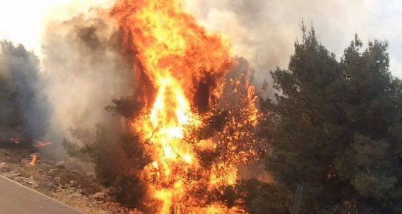 قوات الاحتلال تخلي 15 منزلاً من المستوطنين في "بسجات زئيف"