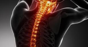 حقائق لا تعرفها عن عمودك الفقري