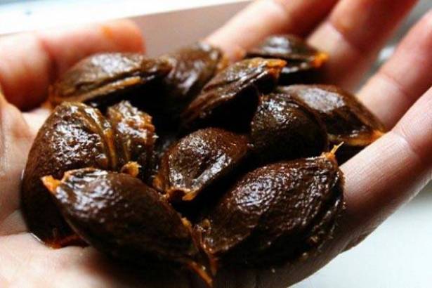 شاهدوا بالفيديو : الفيتامين B17 ممنوع لأنه يعالج السرطان