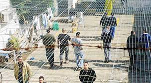 أسيران من الضفة والقطاع يدخلان أعواماً جديدة في سجون الاحتلال