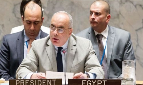مصر تمتنع عن التصويت في مجلس الأمن لفرض عقوبات على سوريا