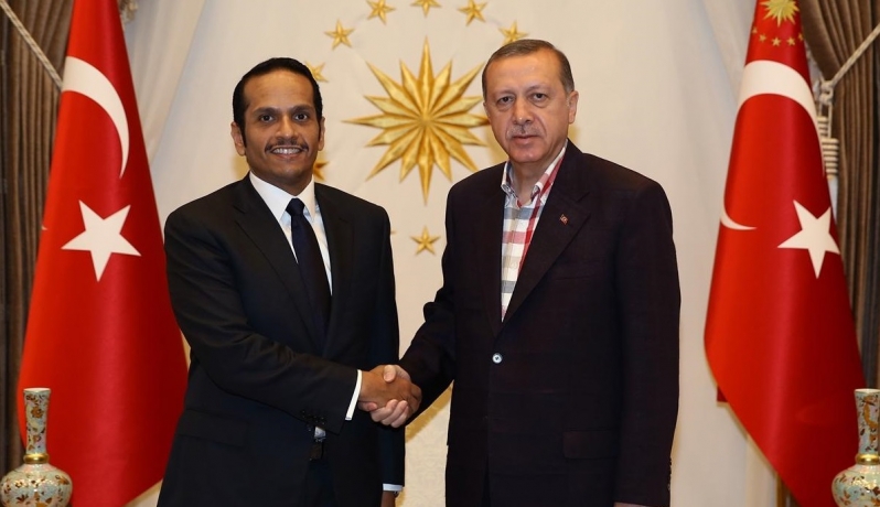 وزير الخارجية القطري يجري مباحثات مع أردوغان حول الأحداث الأخيرة في تركيا