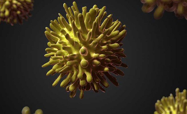 فيروس سي .. الوقاية خير من العلاج