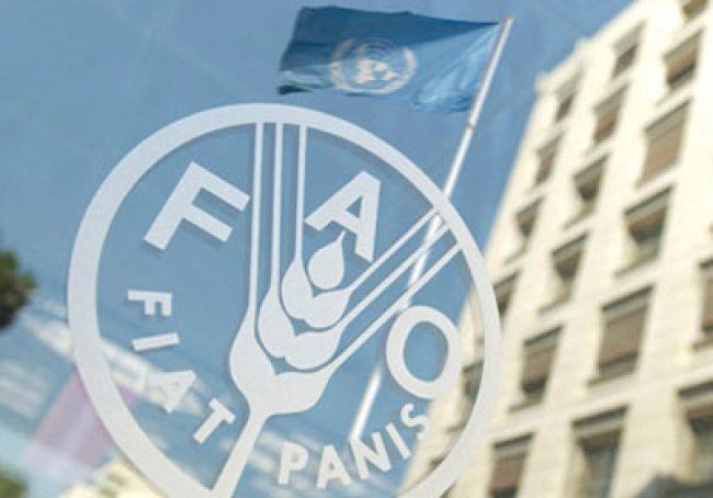 "الفاو": أسعار الغذاء العالمية ترتفع إلى أعلى مستوى منذ عامين في نيسان