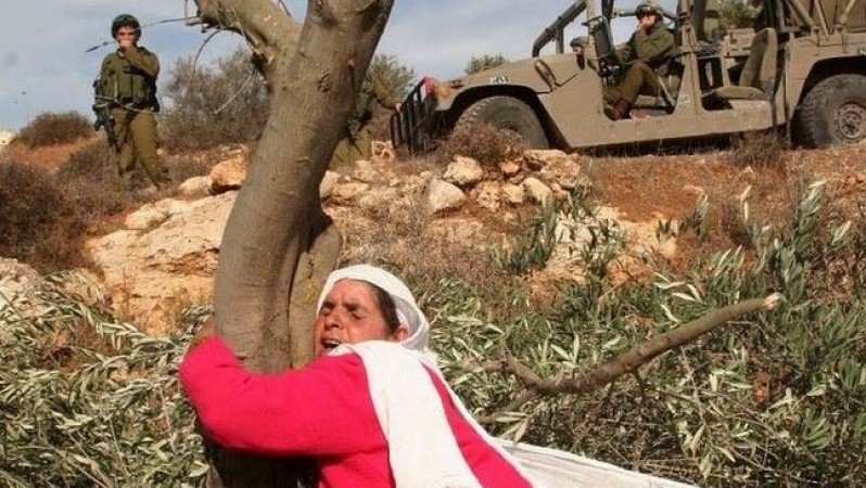 الفتياني والشاعر يؤكدان أهمية المرأة في كل مراحل النضال الوطني