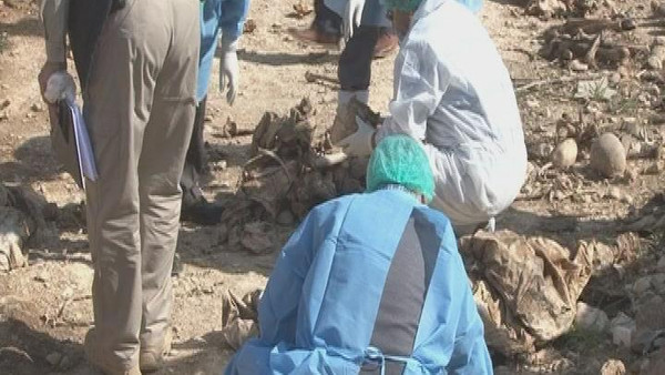العثور على مقبرة جماعية لمئات السجناء قرب الموصل