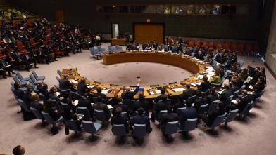 مجموعة حقوقية تدين "فيتو" روسيا على قرار تمديد المساعدات لسوريا