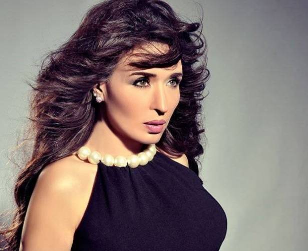 بالفيديو : اتهام غير لائق يُفقد الراقصة دينا أعصابها على الهواء!