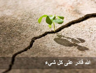 هل ربنا عز وجل قادر أن يخلق كل شيء ؟ 