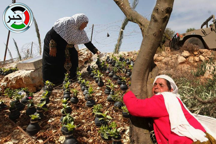 في يوم الأرض "إسرائيل" تستولي على 85% من أراضي فلسطين