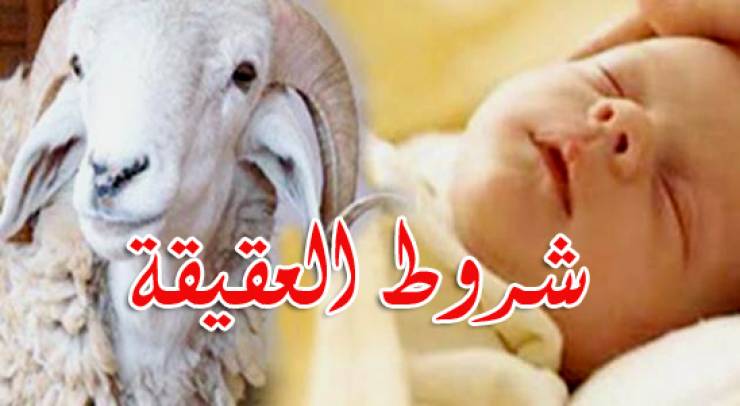 تعرف على شروط وحكم وتوزيع العقيقة كما أمرنا بها رسولنا الكريم "صلى الله عليه وسلم "