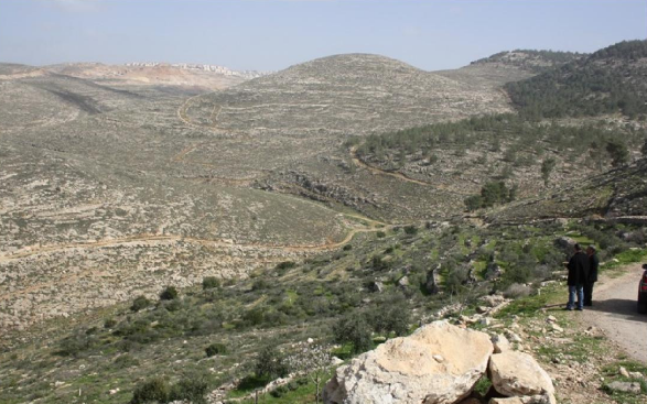 بيت لحم: الشروع بتجريف أراضٍ زراعية في قرية الجبعة