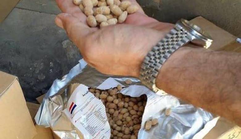 ضبط 10 أطنان من الفستق منتهي الصلاحية في الخليل