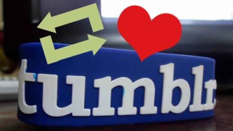 إليكم عدد مستخدمي Tumblr