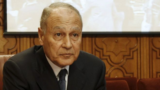 أبو الغيط يجدد التزام الجامعة بالعمل من أجل الوصول غلى حل عادل للقضية الفلسطينية
