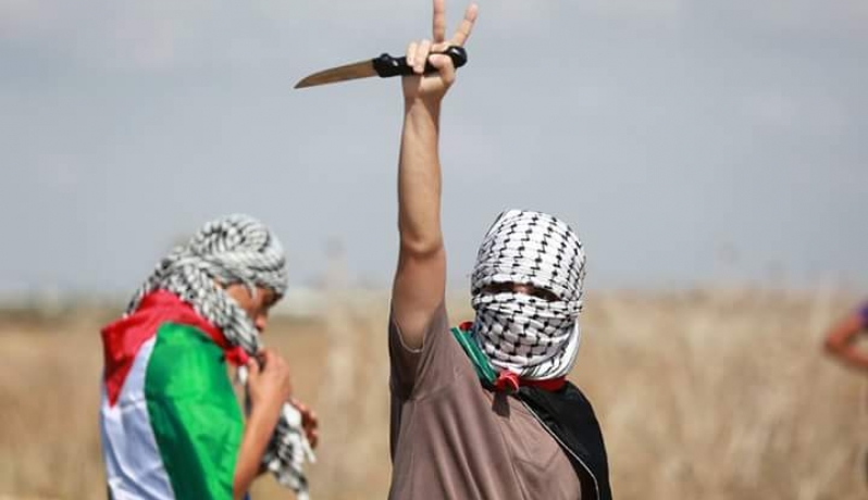 بعد صلاة العشاء .. 100 مسجد في غزة يصلون لاسناد #انتفاضة_القدس