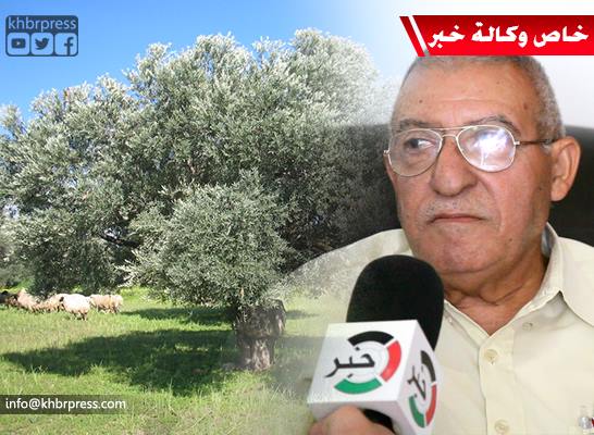 فيديو| مدير عام مجلس الزيتون برام الله لـ "خبر": غزة شهدت موسماً وفيراً هذا العام على عكس الضفة