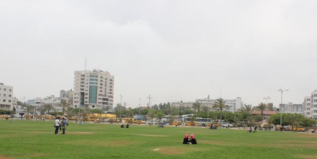 بلدية غزة: عملنا على زيادة المساحة الخضراء لخلق متنفس جديد للمواطنين