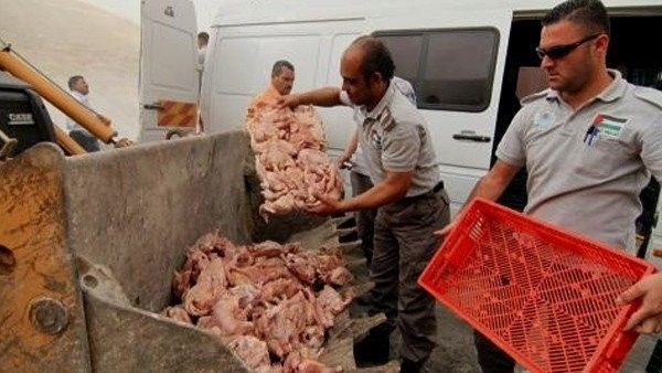 ضبط دجاج مهرب من إسرائيل في سلفيت