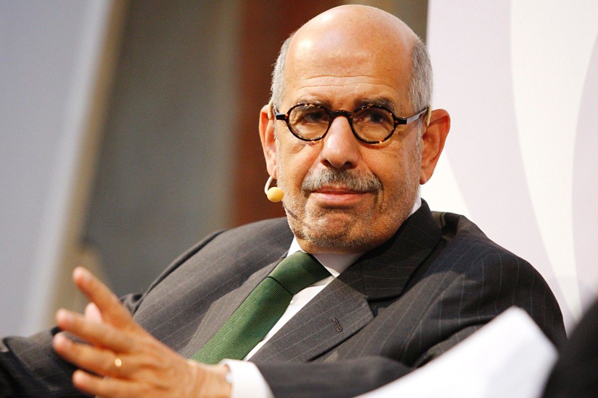 البرلمان المصري يناقش الإثنين المقبل إسقاط الجنسية عن البرادعي