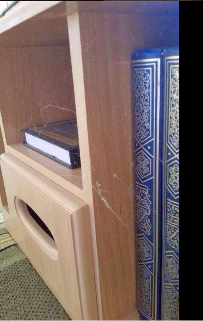 خطير جدا : رسالة من عنكبوت