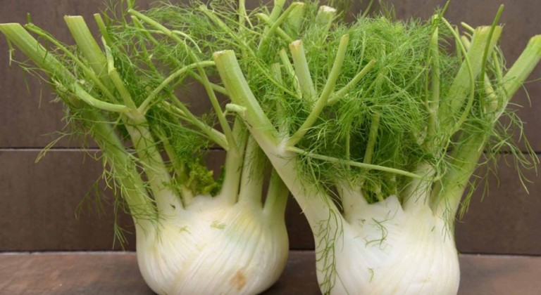 الشومر .. سلاح فعّال لمحاربة متاعب المعدة