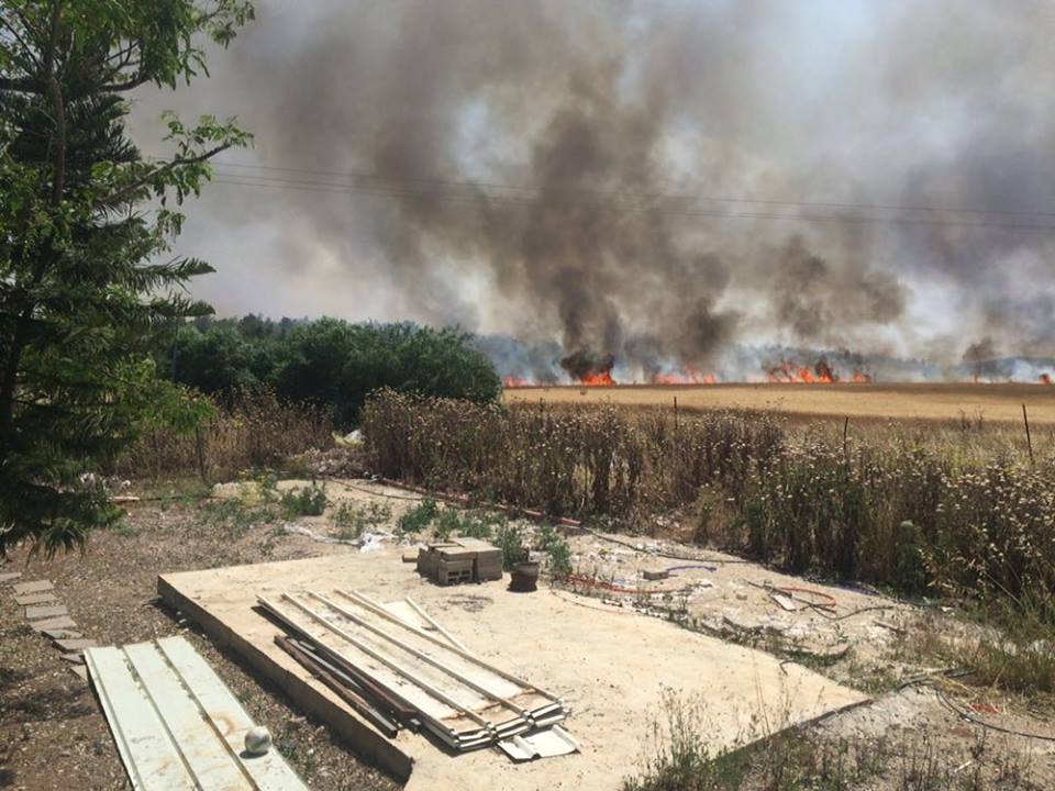 بالصور: نشوب حريق في محيط مستوطنة "بيت شيمش" بالقدس المحتلة