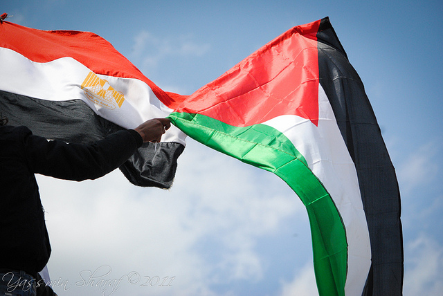 مسؤول مصري لـ خبر