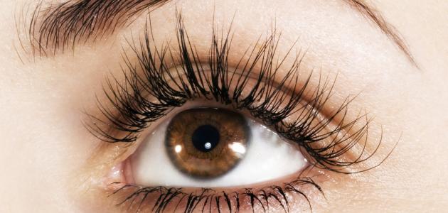 وصفة طبيعية لرموش أكثر كثافة