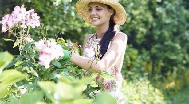 طريقة بسيطة للوقاية من السرطان وأمراض القلب