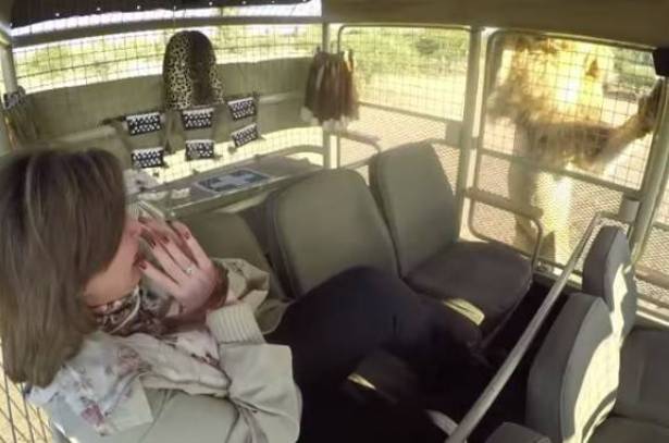 بالفيديو  : إلهام شاهين تصرخ بين فكي الأسود