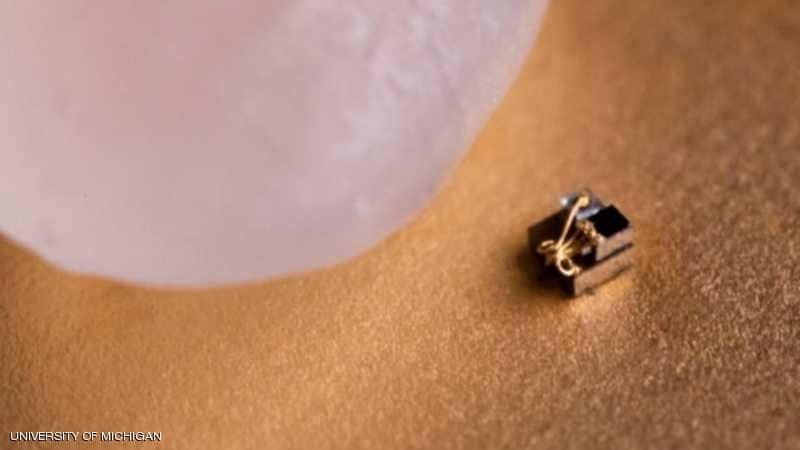 تطوير أصغر كمبيوتر بالعالم.. وحبّة أرز تكشف حجمه