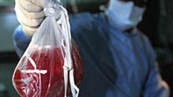 مصر.. حبس 25 متهماً بقضية الاتجار بأعضاء البشر 15 يوماً