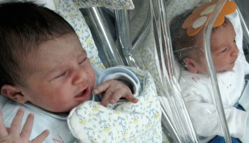 تسجيل 5141 مولودًا جديدًا في قطاع غزة خلال أغسطس