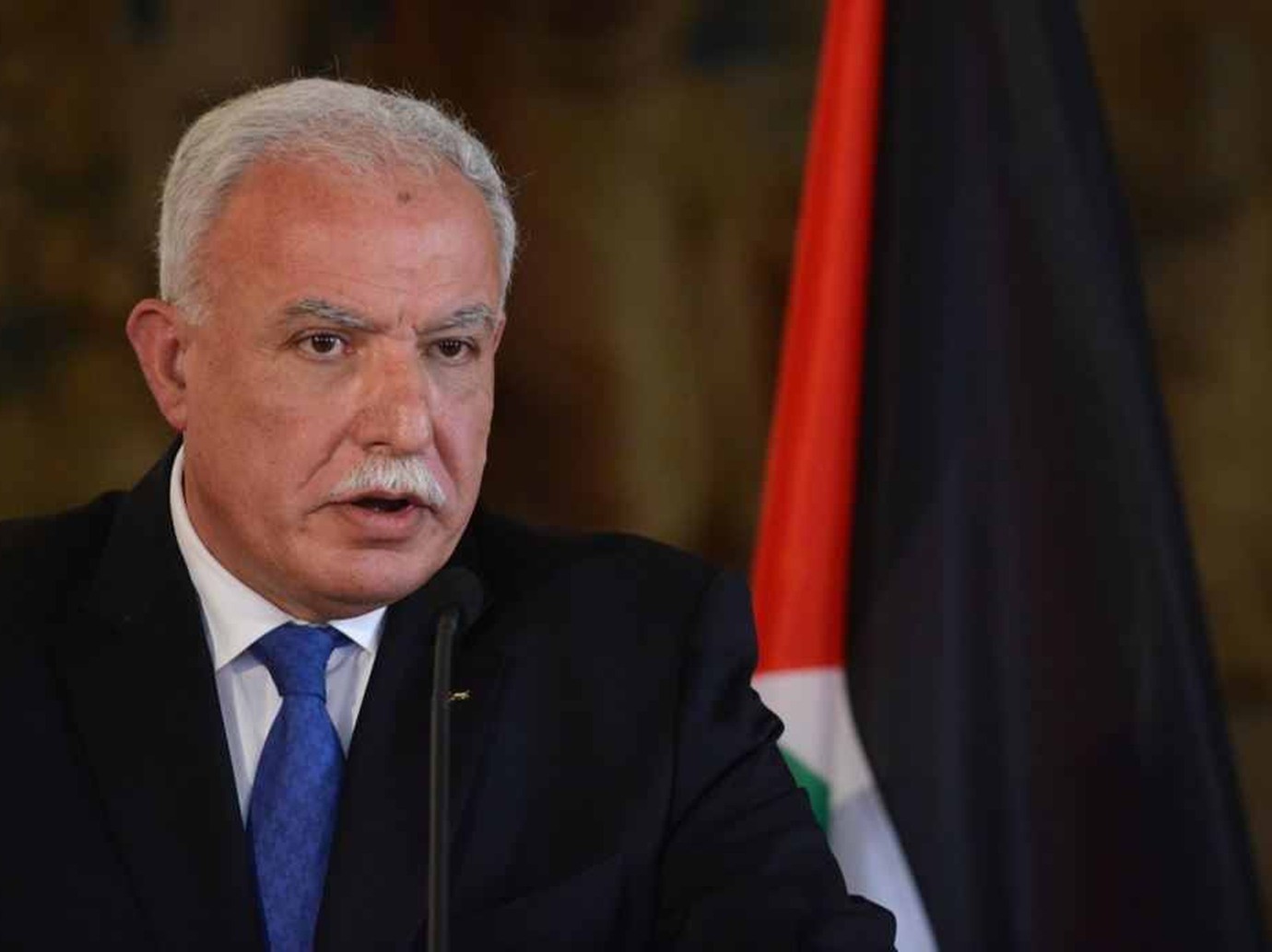 المالكي يتقدم مسيرة تضامن مع فلسطين في إندونيسيا
