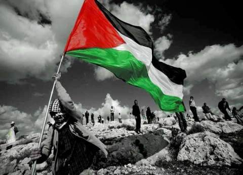 فلسطين تطالب الأمم المتحدة بتوفير الحماية الدولية لشعبنا