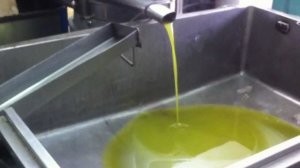 المعابر والحدود: سماح الجانب الأردني بإدخال زيت الزيتون عبر معبر الكرامة