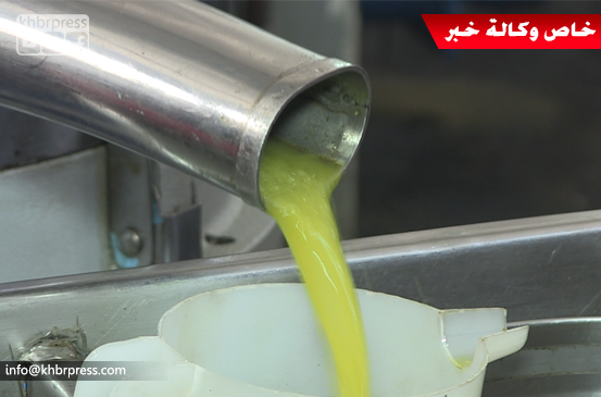 موسم زيتون ضعيف وإنتاجية قليلة من "الزيت" مقارنةً بالأعوام السابقة