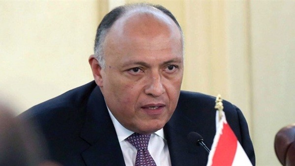 الكشف عن فحوى اتصال هاتفي بين وزير خارجية مصر وأشكنازي