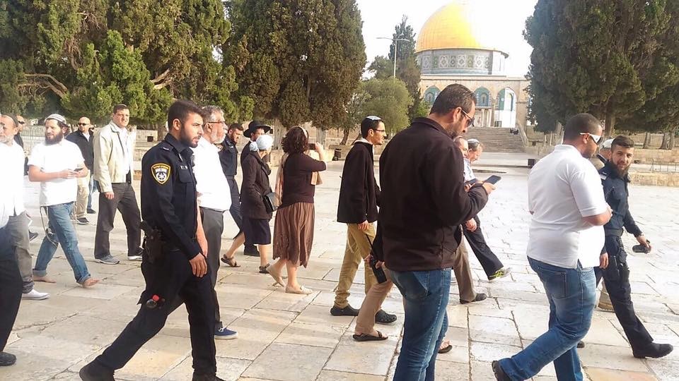 مستوطنون يجددون اقتحامهم المستفز للأقصى
