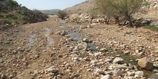 تقرير: الاحتلال يُفاقم التصحّر ويضاعف الجفاف 