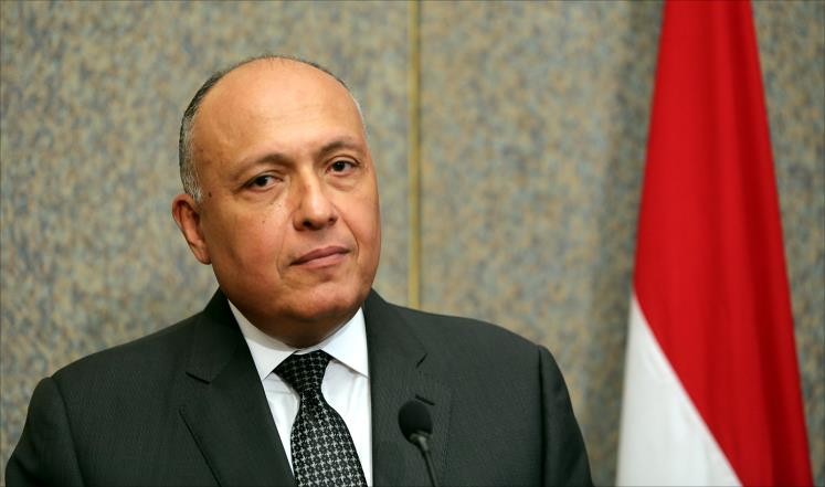 شكري: حل القضية الفلسطينية يعتبر إنجاز يمكن وصفه بحل القرن