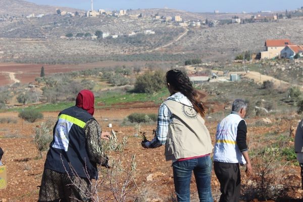"الإغاثة الزراعية" تنظم معرض الزيتون الأول في نابلس