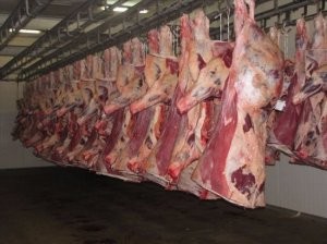 "الاقتصاد الوطني" تعلن فتح باب تقديم طلبات استيراد اللحوم المجمدة والاسمنت