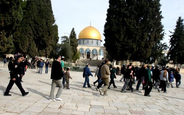 قطعان المستوطنين يقتحمون باحات الأقصى تحت حراسة مشددة
