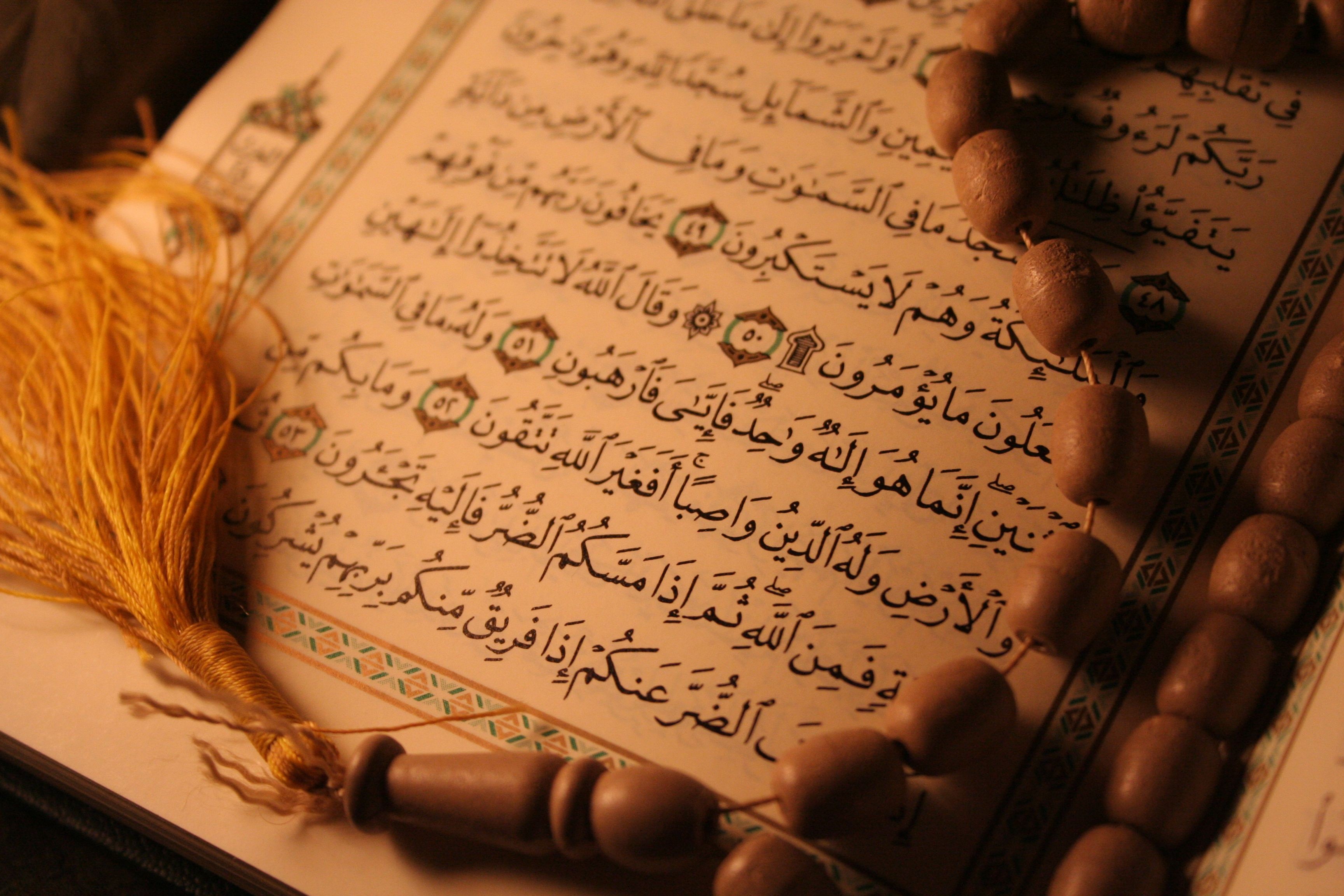 المفتي العام يحذر من تداول نسخة من القرآن الكريم