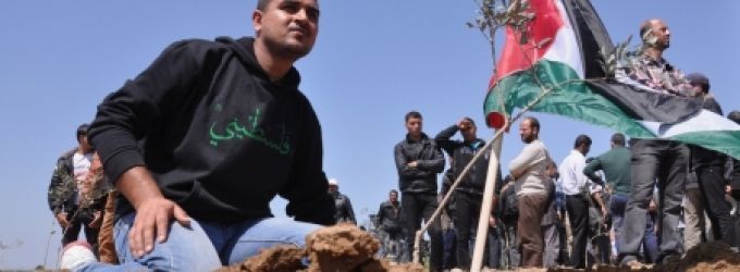 "الشبان التركية" تطلق حملة لغرس 10آلاف شجرة زيتون
