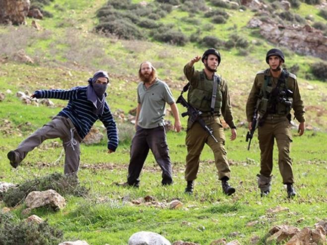إصابة مواطنين عقب هجوم المستوطنين على المزارعين جنوب نابلس